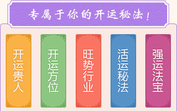 紫微财运用户反馈与案例