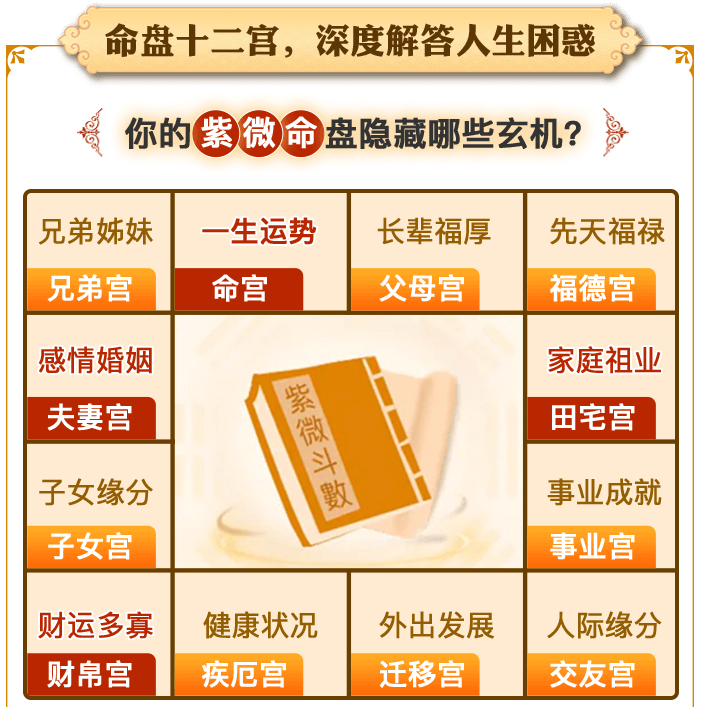 紫微斗数命盘十二宫位解析